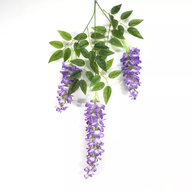 Hamis wisteria ágak